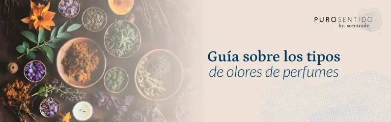 Tipos de olores en perfumes y cómo elegir la fragancia ideal | Puro Sentido Tipos de olores en perfumes y cómo elegir la fragancia ideal | Puro Sentido